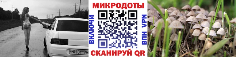 купить наркотик  Янаул  Псилоцибиновые грибы Cubensis 